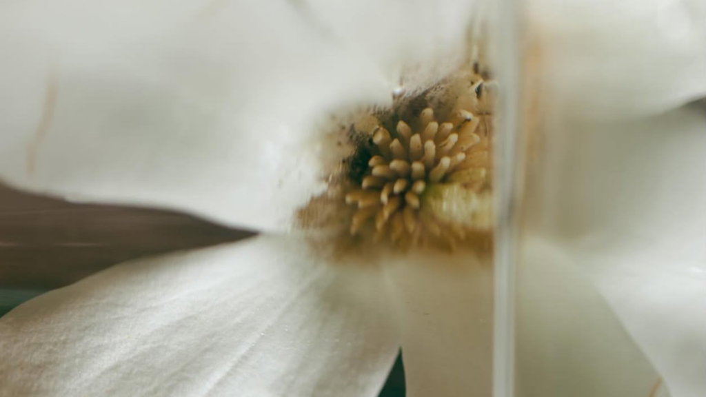 Gående meditation 02 – Energi