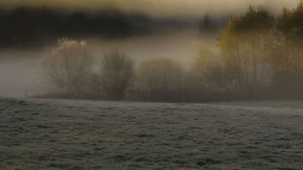 Ro i kroppen — kropsscanning fra hoved til fødder