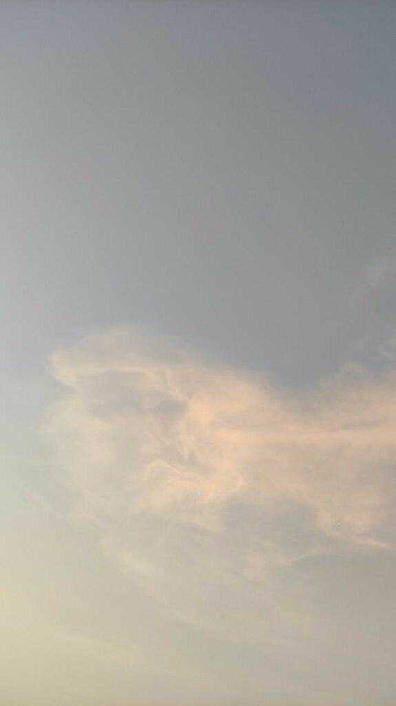 Hvad handler lymfen om?